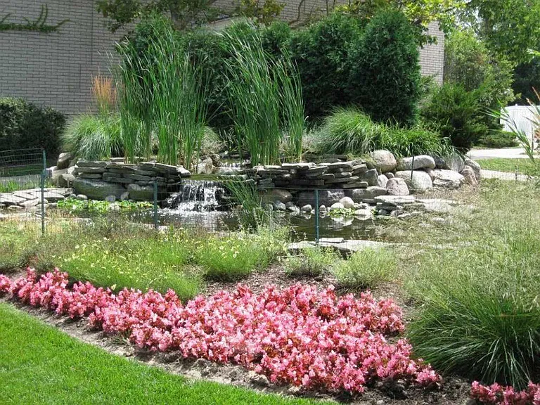 Village on the Park — Photo 4