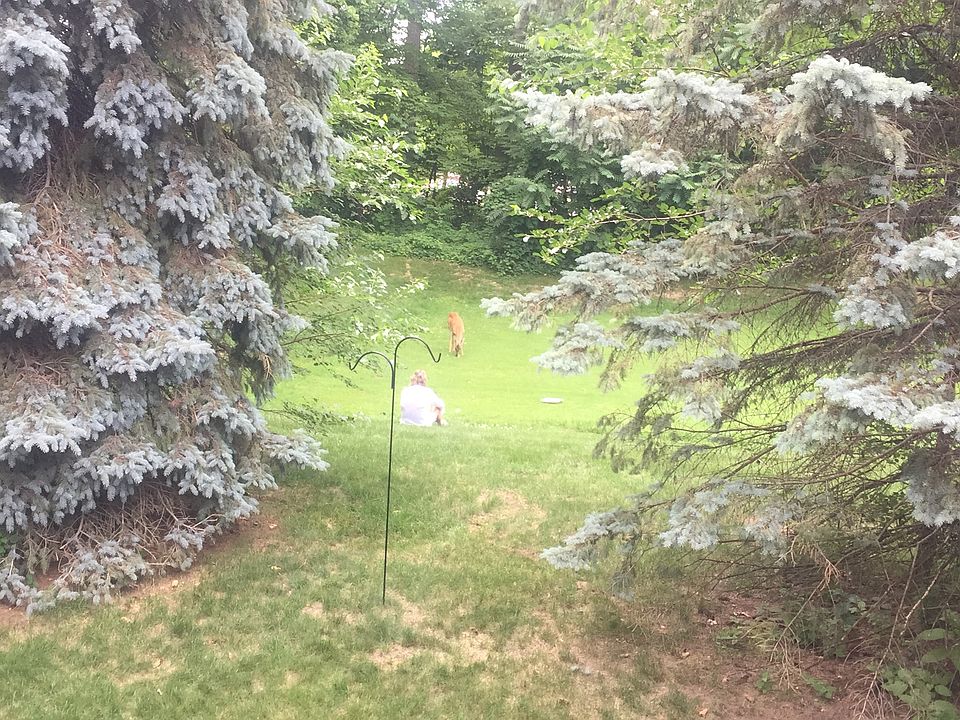 1st image of 6697 Quail Run Cir #29