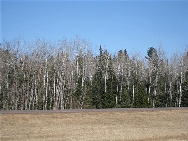 2nd image of xxx Hwy 61 N