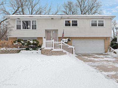 1117 Tamarack Dr, Darien, IL, 60561