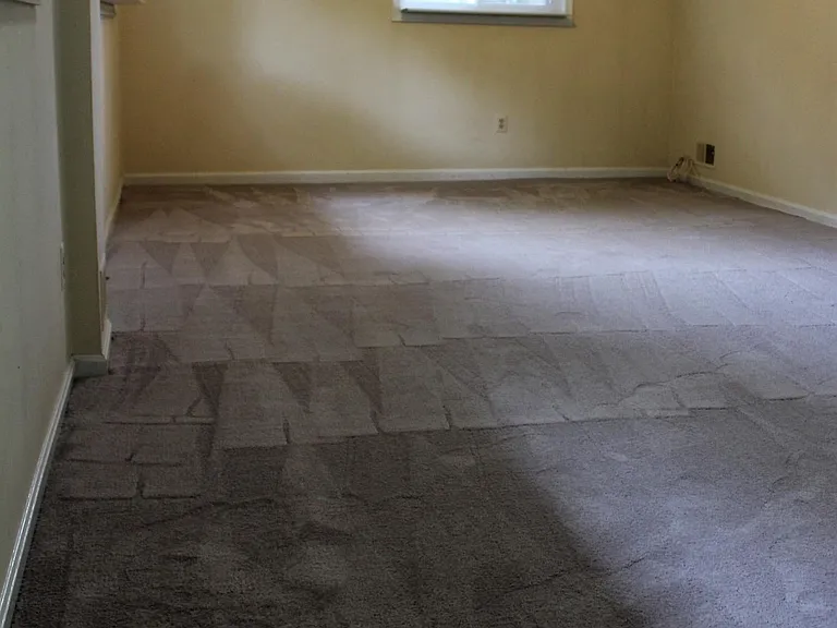 Dining/Living Room