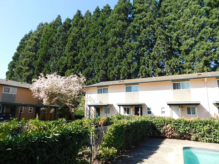 Cedar Meadow Apartments — Photo 11