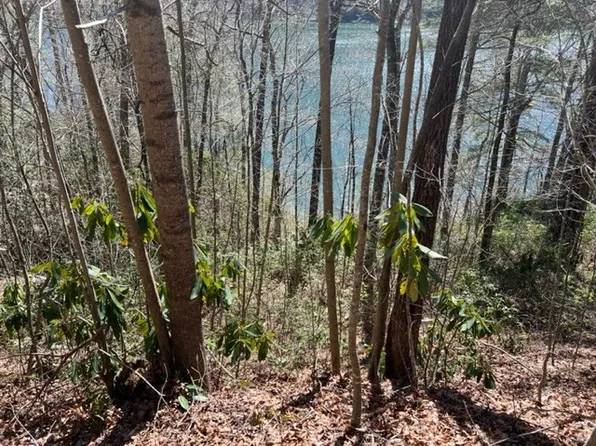 42 Little Choga Rd, Topton, NC 28781