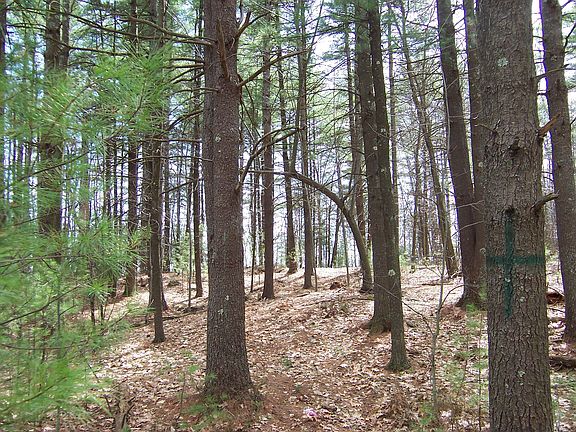 Down by the Nashua River