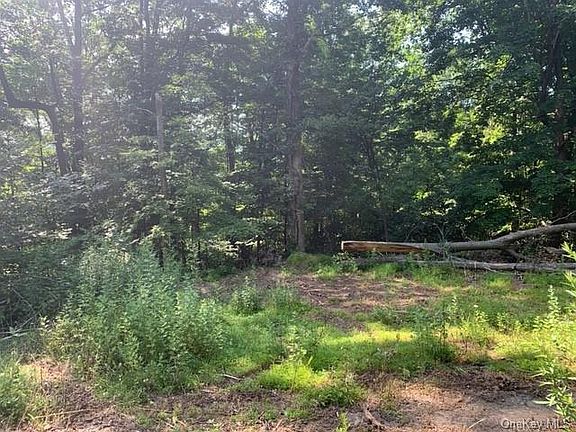 5th image of 295 Skyline Dr