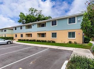 548 Golden Raintree Pl #548, Brandon, FL 33510