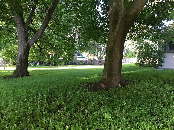 Lots of mature trees