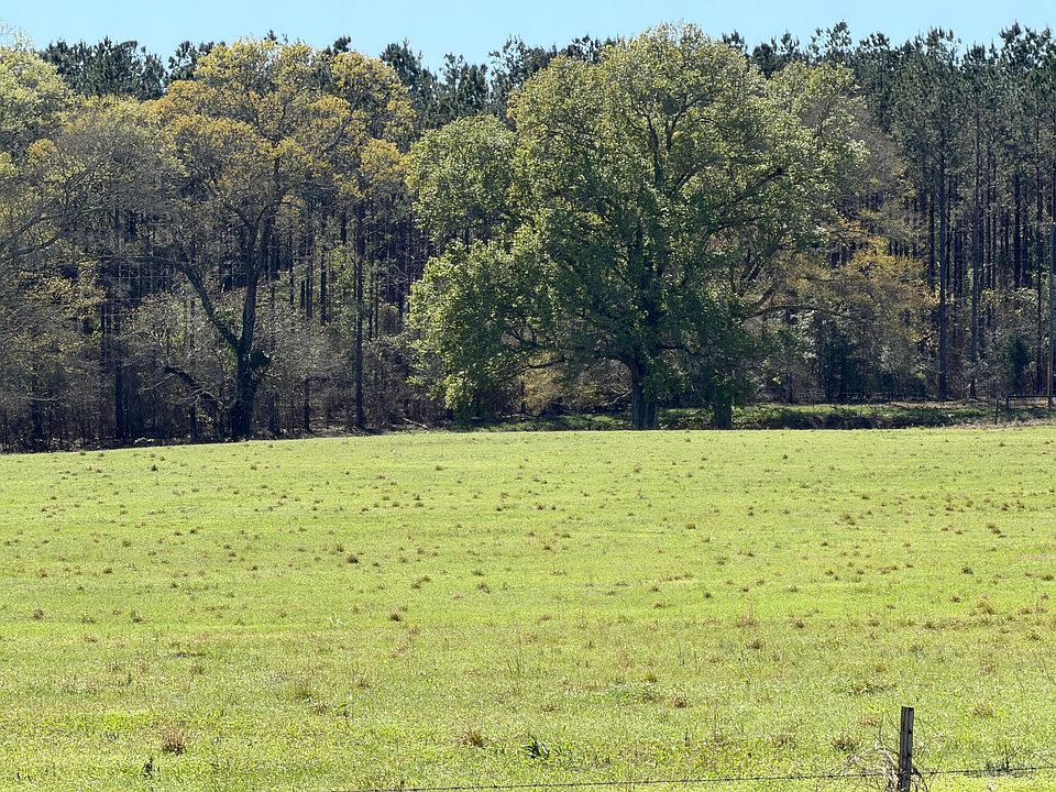 2nd image of Magnolia Rd