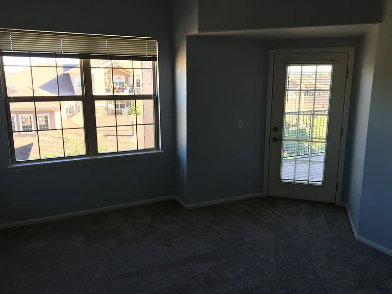 10805 S Twenty Mile Rd #303 — Photo 9