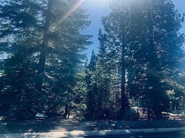 27 Grand Fir Rd photo 1