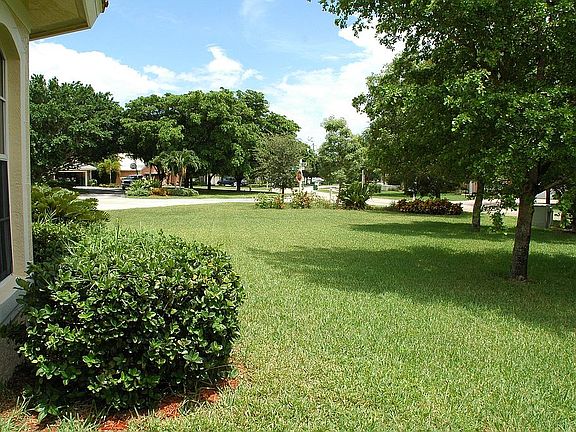 View of Huge Front Yard