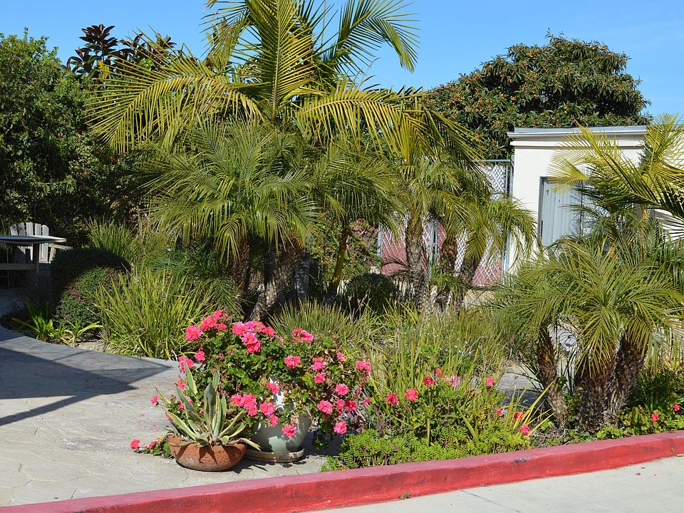 1st image of 16640 Crenshaw Blvd #A