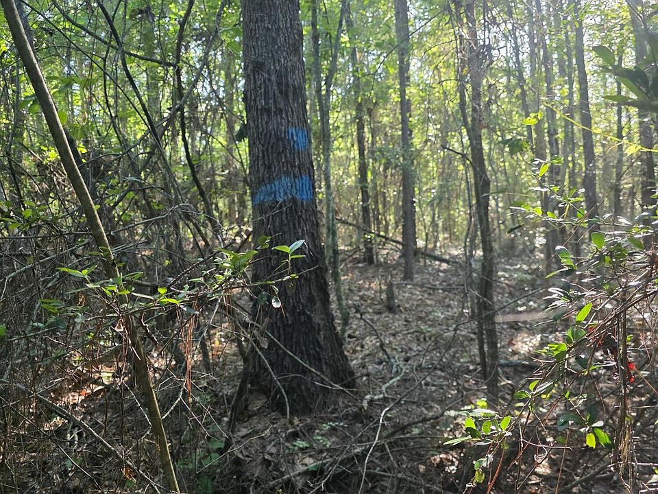 1st image of Hamilton Rd
