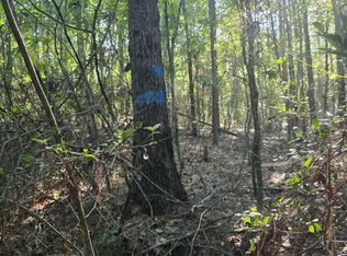 Hamilton Rd, Prentiss, MS 39474