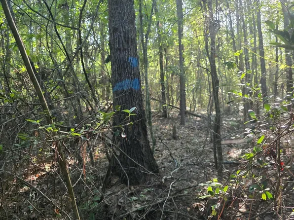 Hamilton Rd, Prentiss, MS 39474