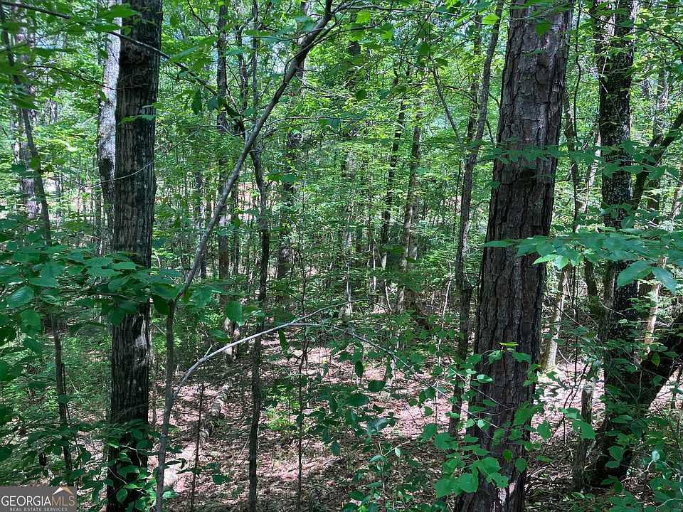 2nd image of Johnson Mill Rd