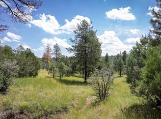 Homestead Dr, Overgaard, AZ 85933