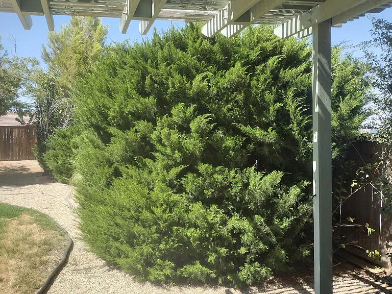 6303 Prairie Ct — Photo 16