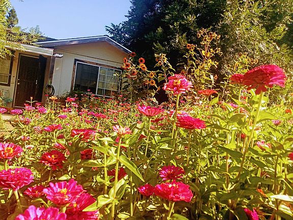 Flower Garden....