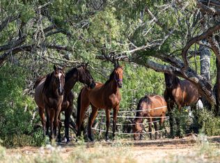 3285 Pittman Rd, Saint Hedwig, TX 78152