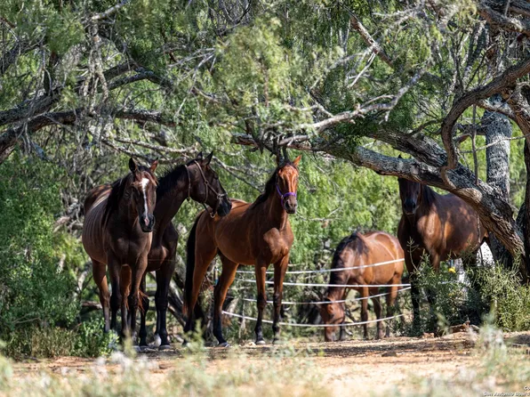 3285 Pittman Rd, St Hedwig, TX 78152