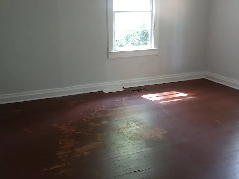 223 Pine Crest Dr — Photo 4