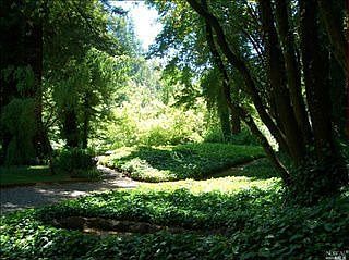 3rd image of 14096 Sosna Way