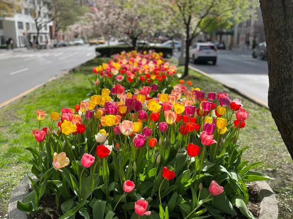 655 Park Avenue image 12 of 13