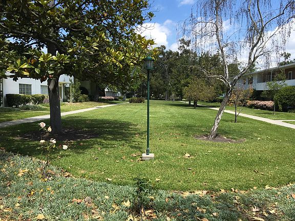 Beautiful sculpted landscaping