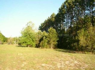 19629 Woodland Manor Pl, Lutz, FL 33549