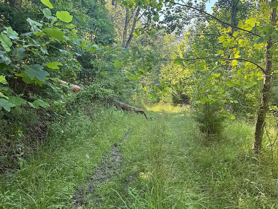 美品　法律なき町 0 State Highway 486, Sandy Hook, KY 41171 | MLS #60852 | Zillow