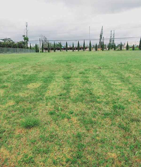 16300 Ainaloa Blvd, Kurtistown, HI 96760 MLS 702294 Zillow