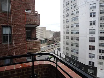 Sold by The Coop Connection LLC