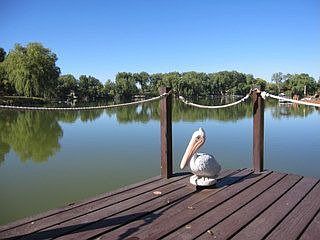 View from dock