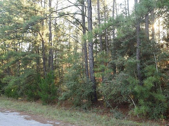 3rd image of Huge Rare 1 Acre Homesite Of Arizona Land