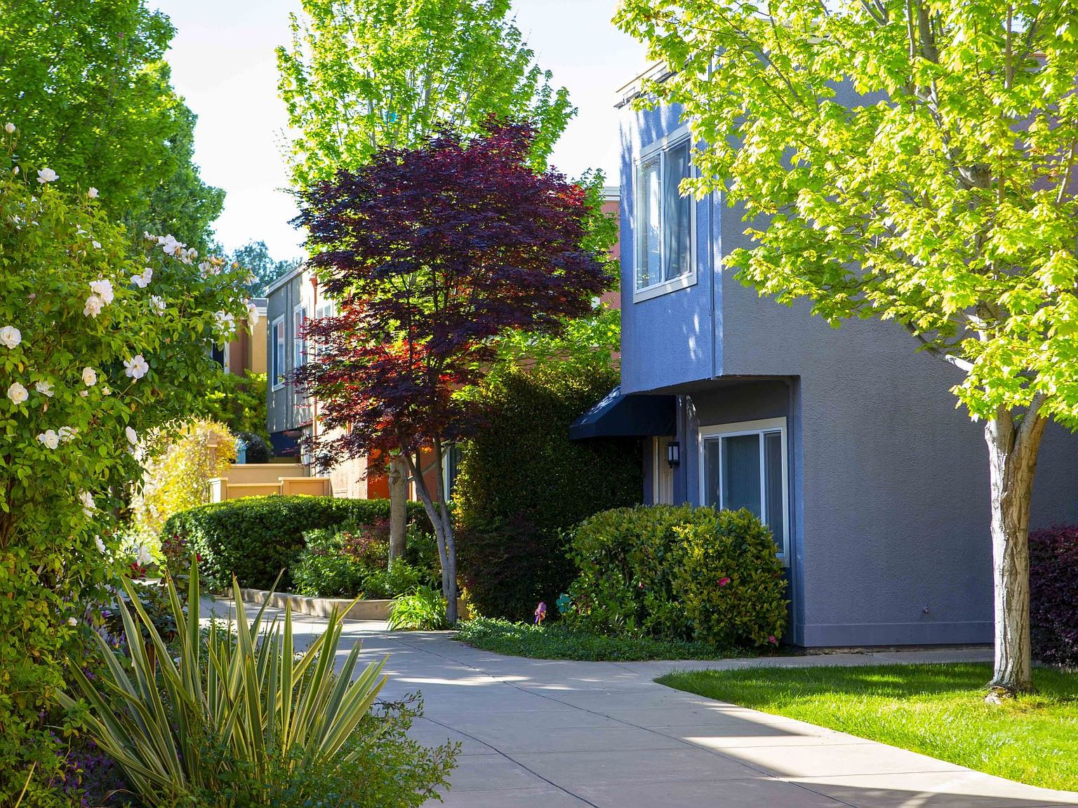 2925 Monument Blvd 87, Concord, CA 94520 Zillow