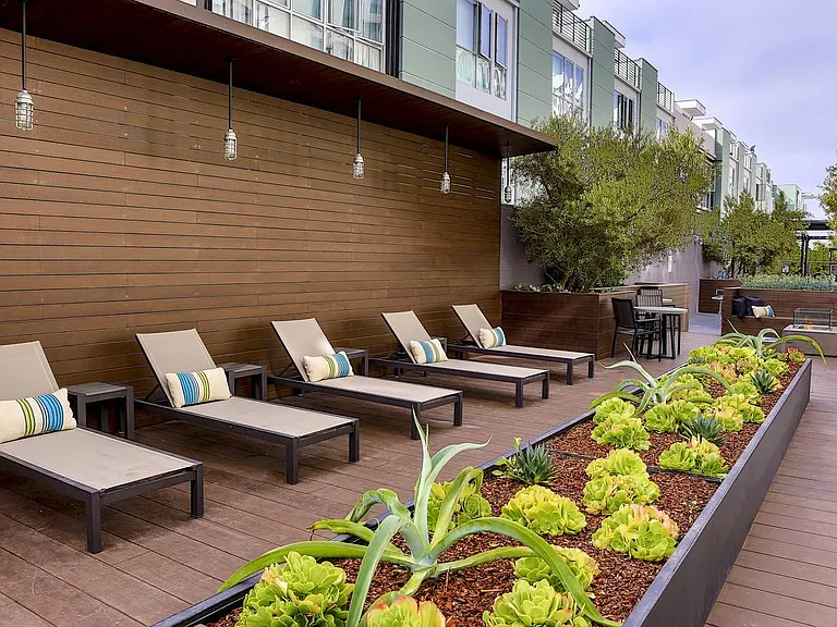 Deck Lounge