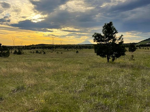 4th image of 44 Wildhorse Ranch Rd