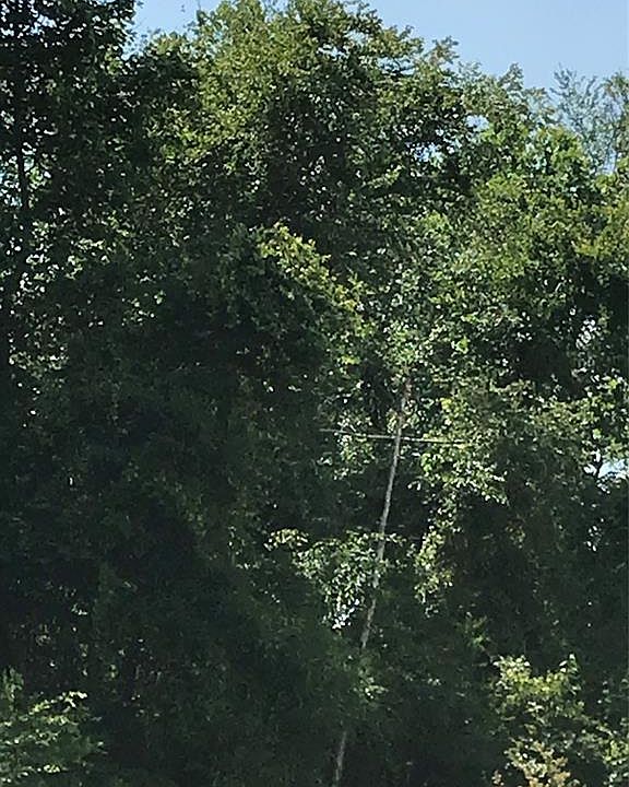 1st image of 1789 Nathan Dr