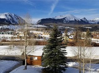 104 Creek Ln, Silverthorne, CO 80498