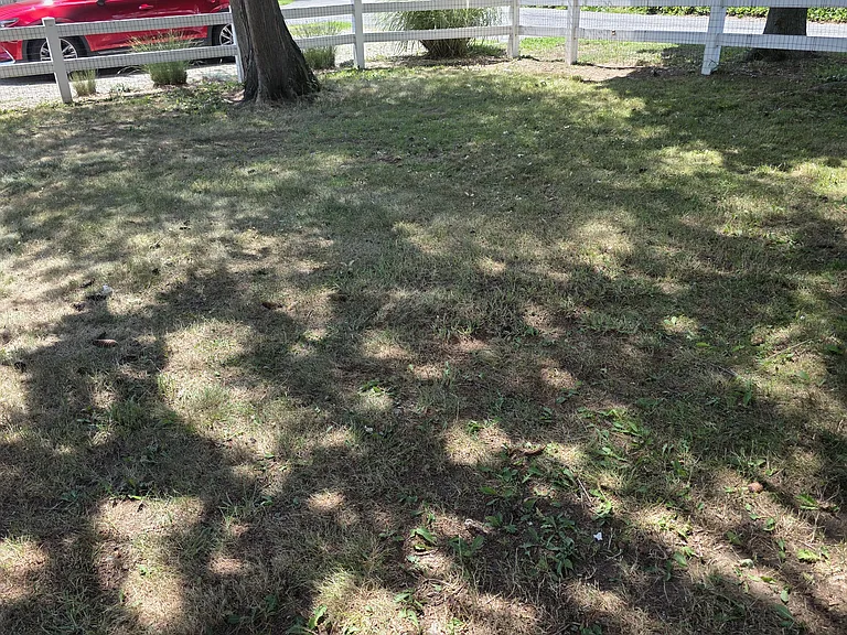 882 Fritztown Rd — Photo 39