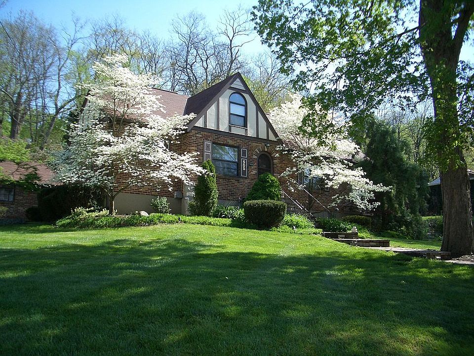 Dogwoods in the Spring