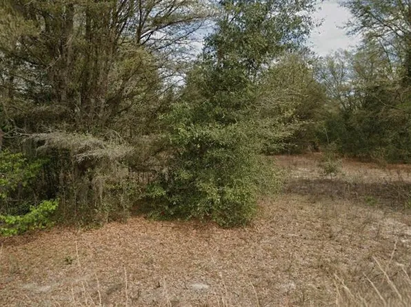 Guy Ave Lot 15, Interlachen, FL 32148