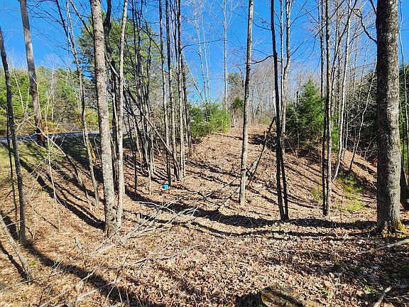 4th image of 0 Madison Road