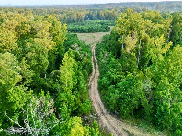 Dentville Rd, Hazlehurst, MS 39083