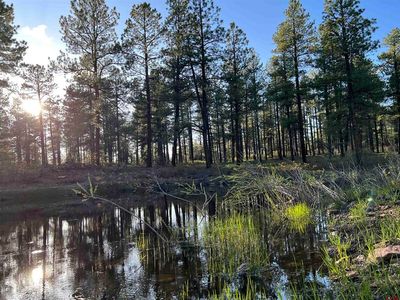 TBD Road 36.5, Mancos, CO, 81328