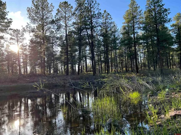 TBD Road 36.5, Mancos, CO 81328