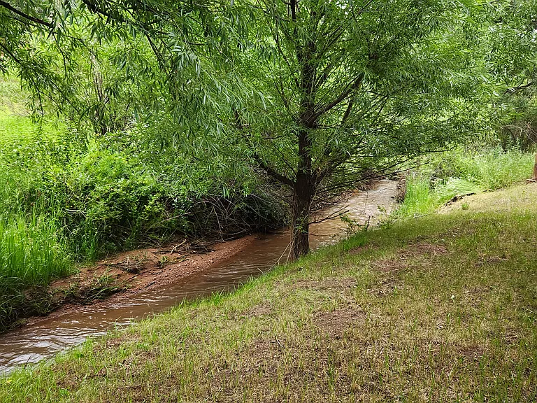 Grassy area and Stream behind the unit.
