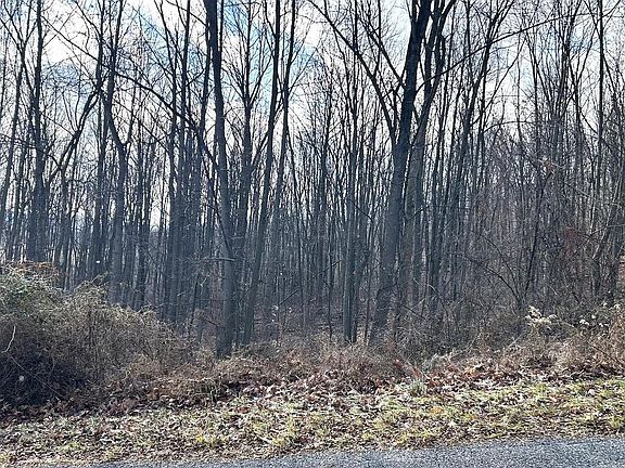 3rd image of LOT 17 Weaver Woods Rd