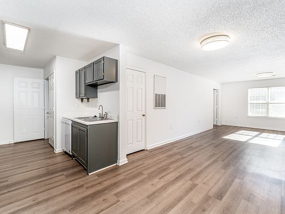 Apollo Kitchen/Living Room